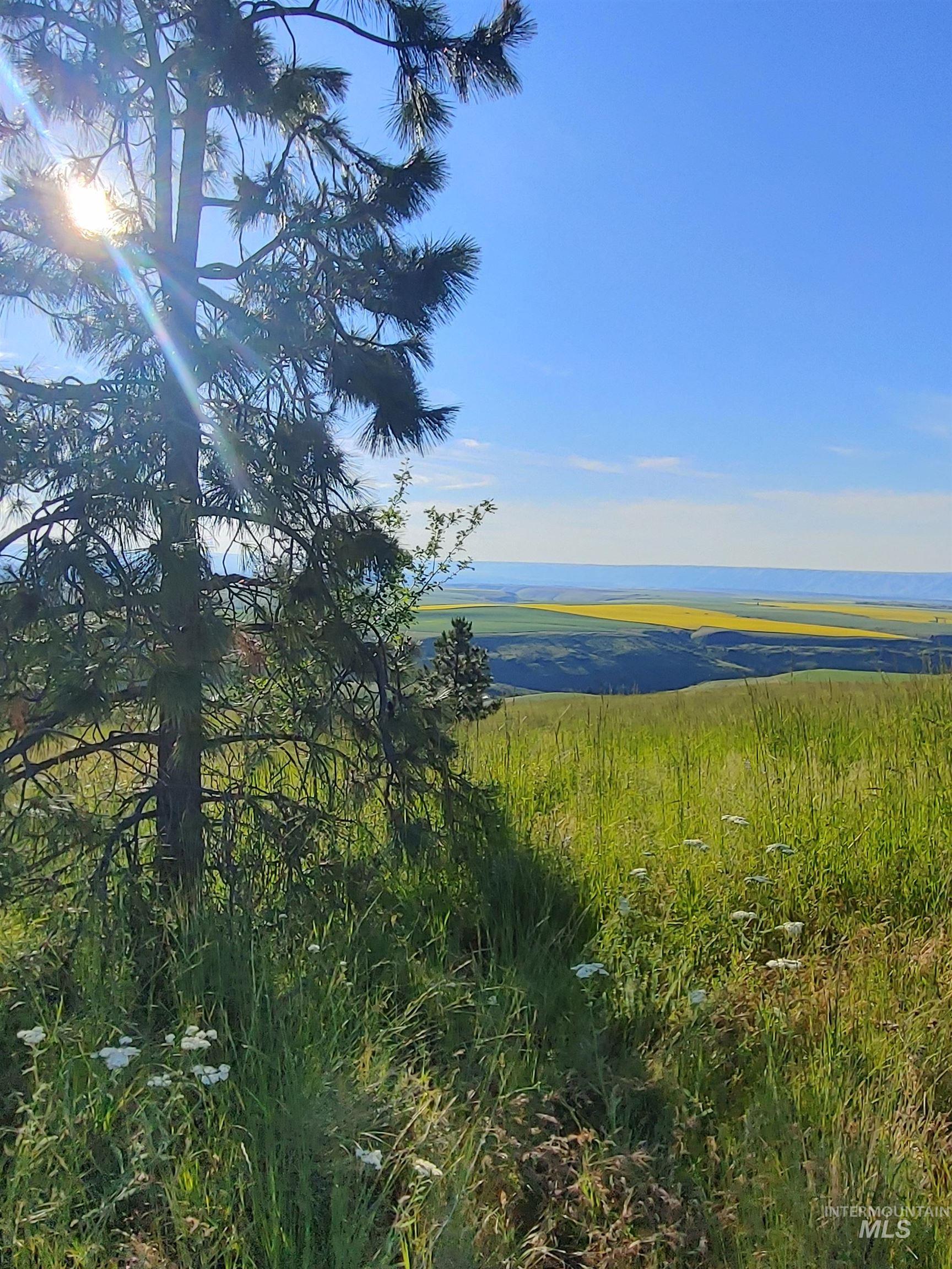Lot B Forsman Lane Lewiston, ID 83501 - Photo 43 of 46
