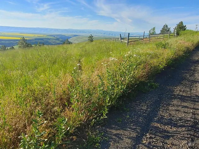 $249,700 | Lot B Forsman Lane, Lewiston, ID 83501