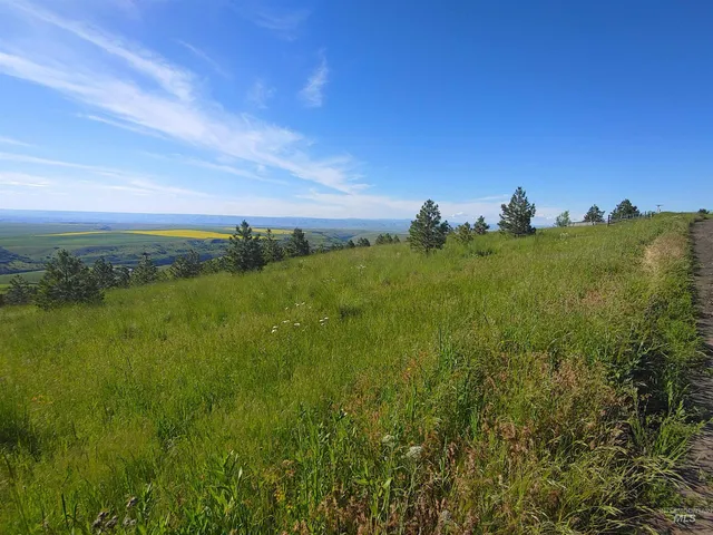 $249,700 | Lot B Forsman Lane, Lewiston, ID 83501