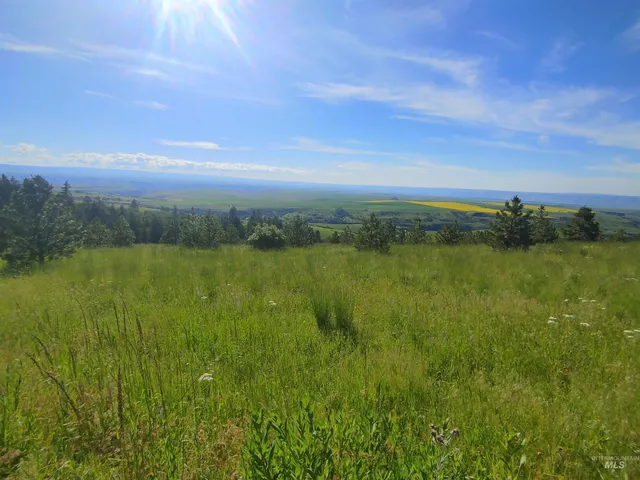 $249,700 | Lot B Forsman Lane, Lewiston, ID 83501