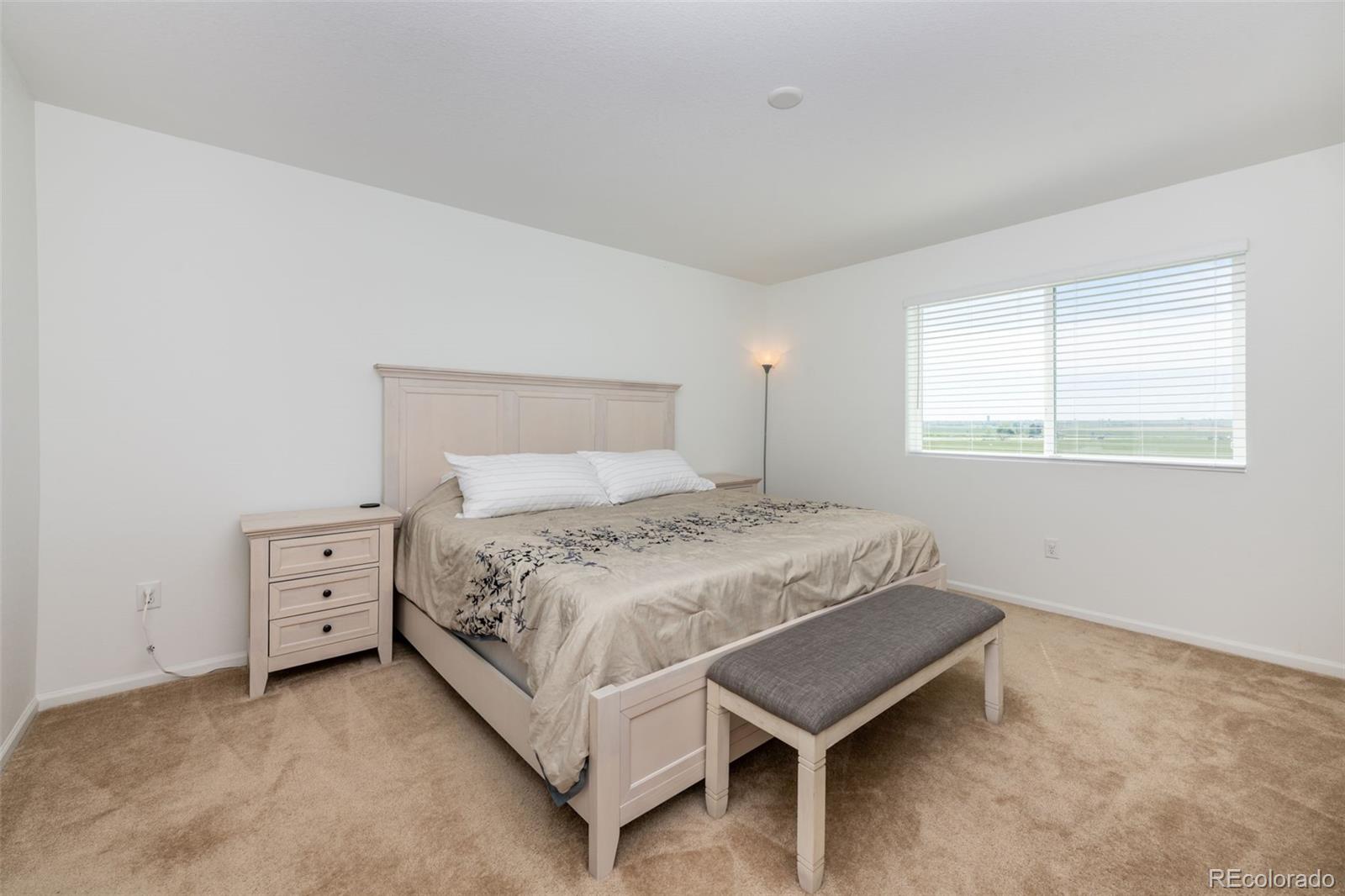 6645 Dry Fork Drive Frederick, CO 80516 - Photo 16 of 40