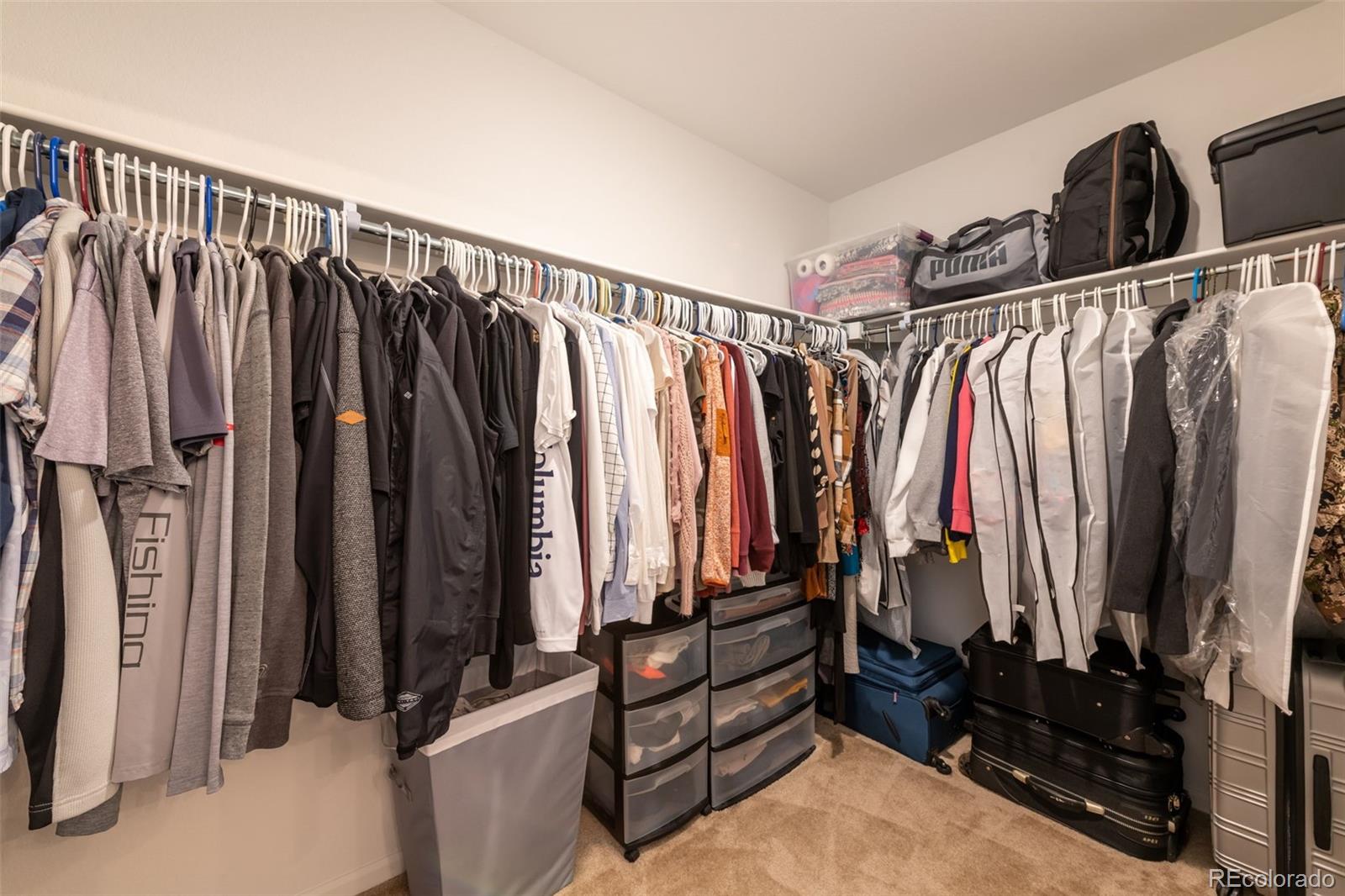 6645 Dry Fork Drive Frederick, CO 80516 - Photo 20 of 40