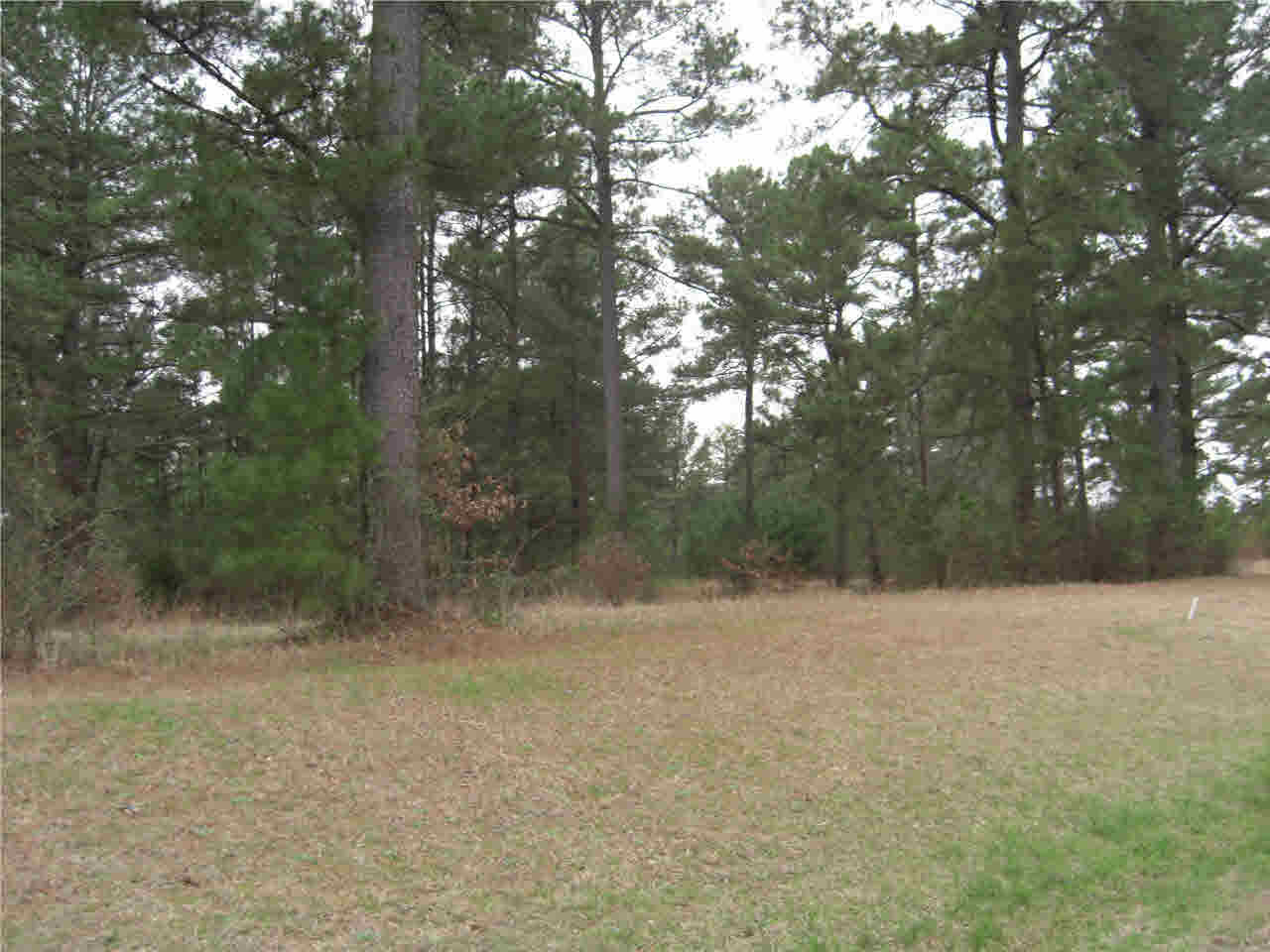 2031 Pleasant Gift Road Canton, MS 39046 - Photo 1 of 10 Photo 1