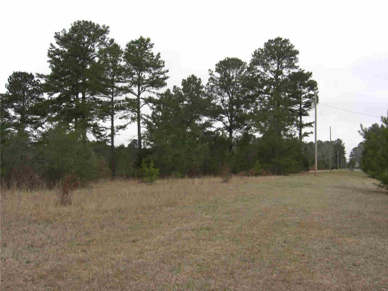 2031 Pleasant Gift Road Canton, MS 39046 - Photo 3 of 10 Photo 3