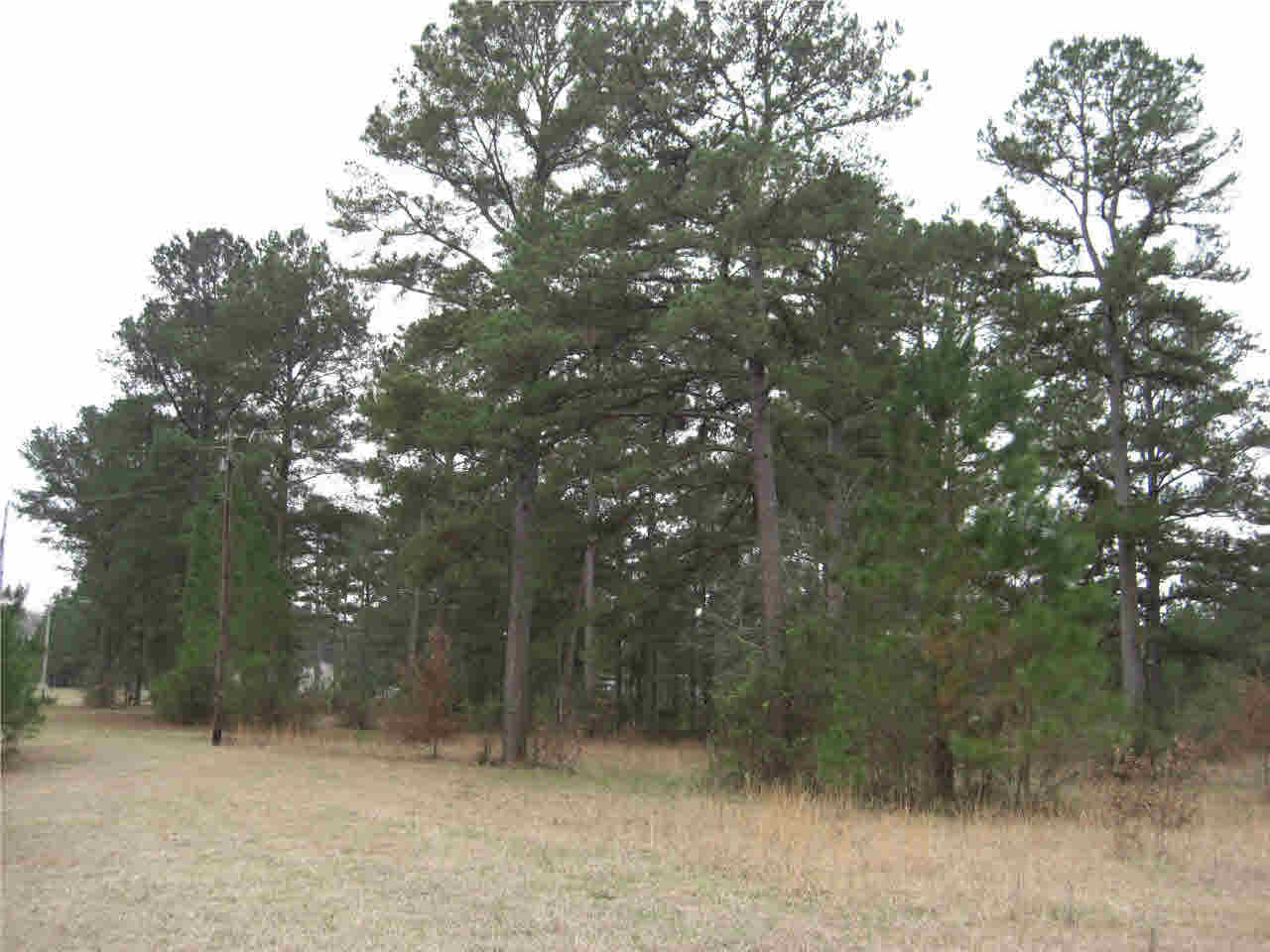 2031 Pleasant Gift Road Canton, MS 39046 - Photo 5 of 10 Photo 5