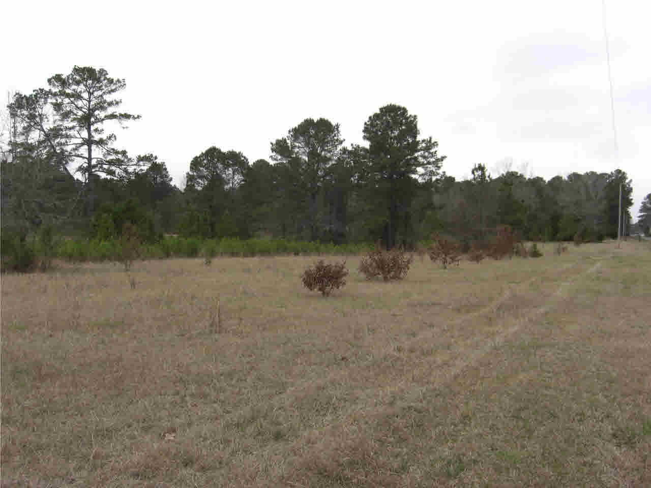 2031 Pleasant Gift Road Canton, MS 39046 - Photo 6 of 10 Photo 6