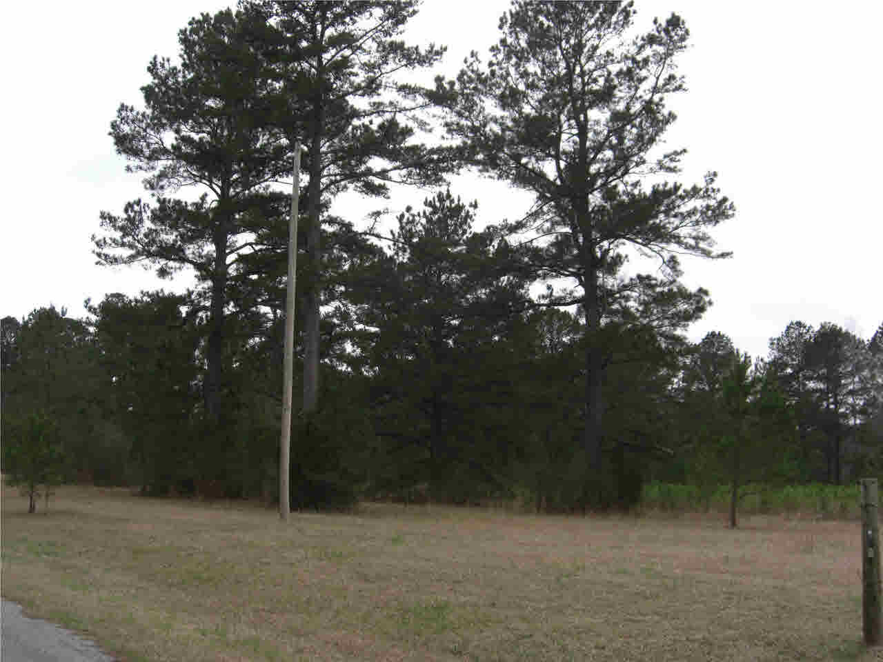 2031 Pleasant Gift Road Canton, MS 39046 - Photo 8 of 10 Photo 8