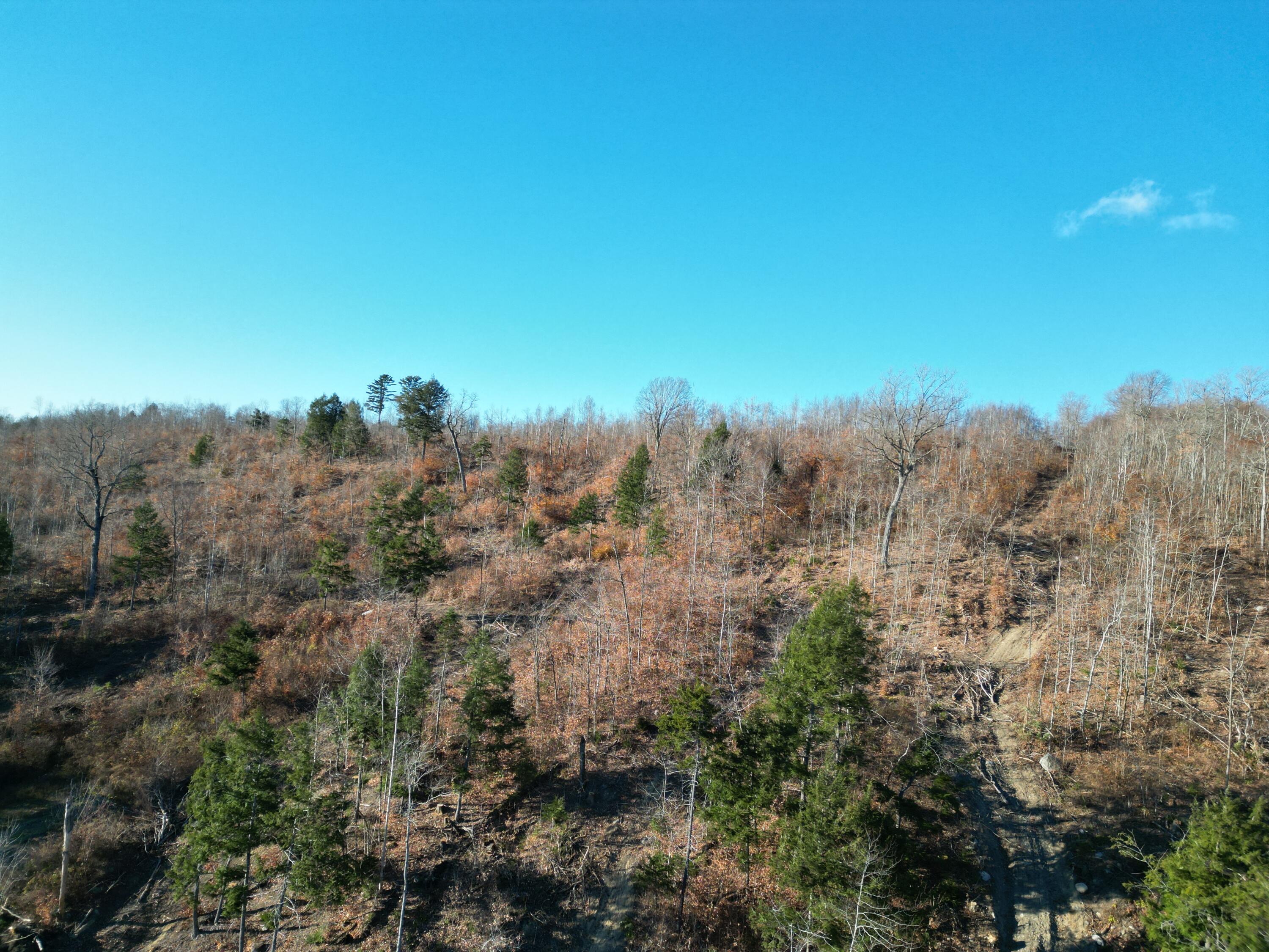 Lot 12 Ghost Road Springfield, ME 04487 - Photo 13 of 16 DJI_0921