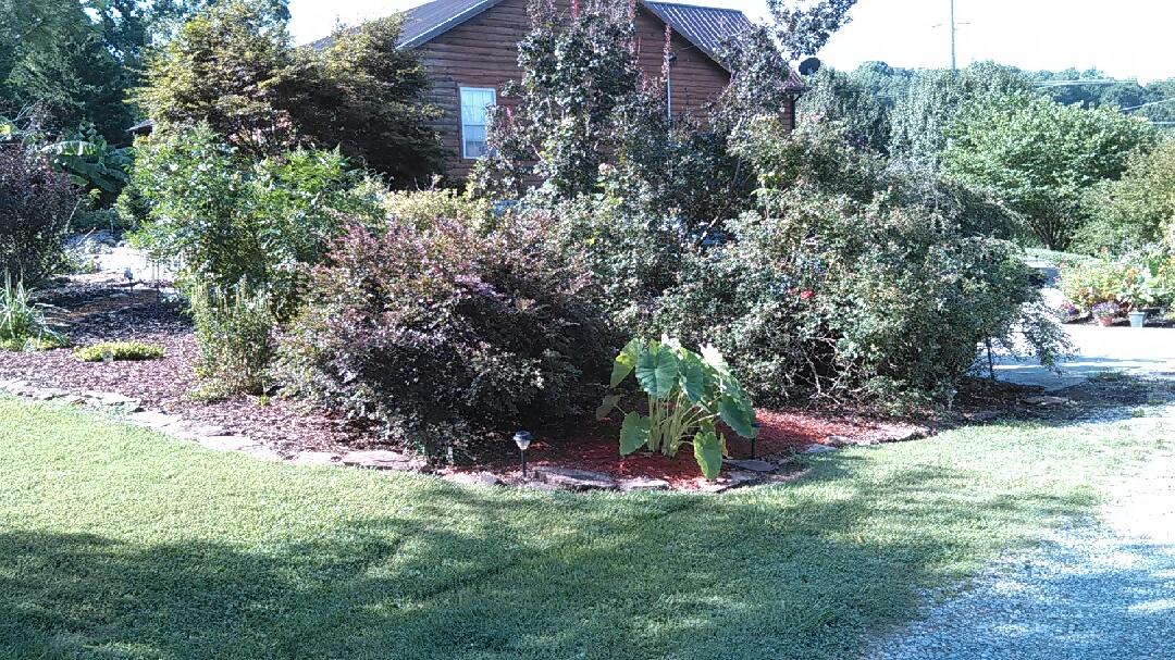 5152 Circle Road Corryton, TN 37721 - Photo 12 of 31 South Side of House in Summer