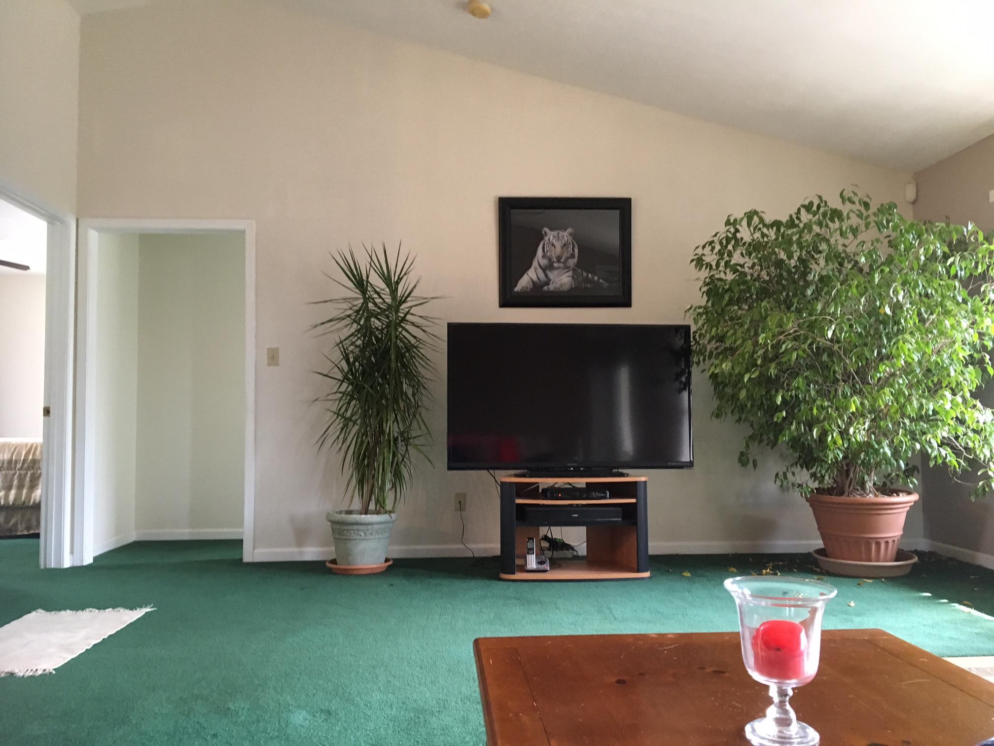 5152 Circle Road Corryton, TN 37721 - Photo 18 of 31 Living Room4