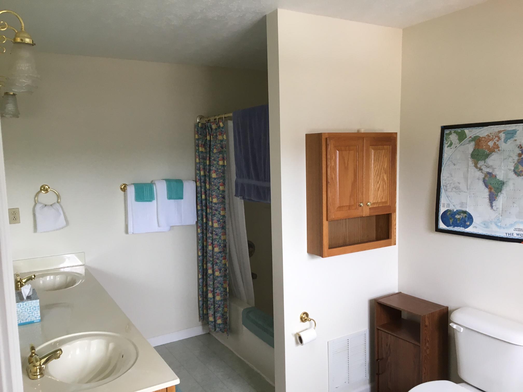 5152 Circle Road Corryton, TN 37721 - Photo 6 of 31 Master Bath1