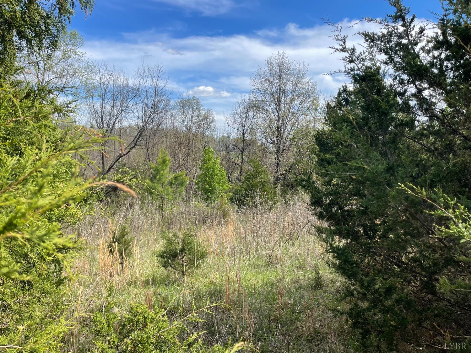 10936 Moneta Road Moneta, VA 24121 - Photo 22 of 25