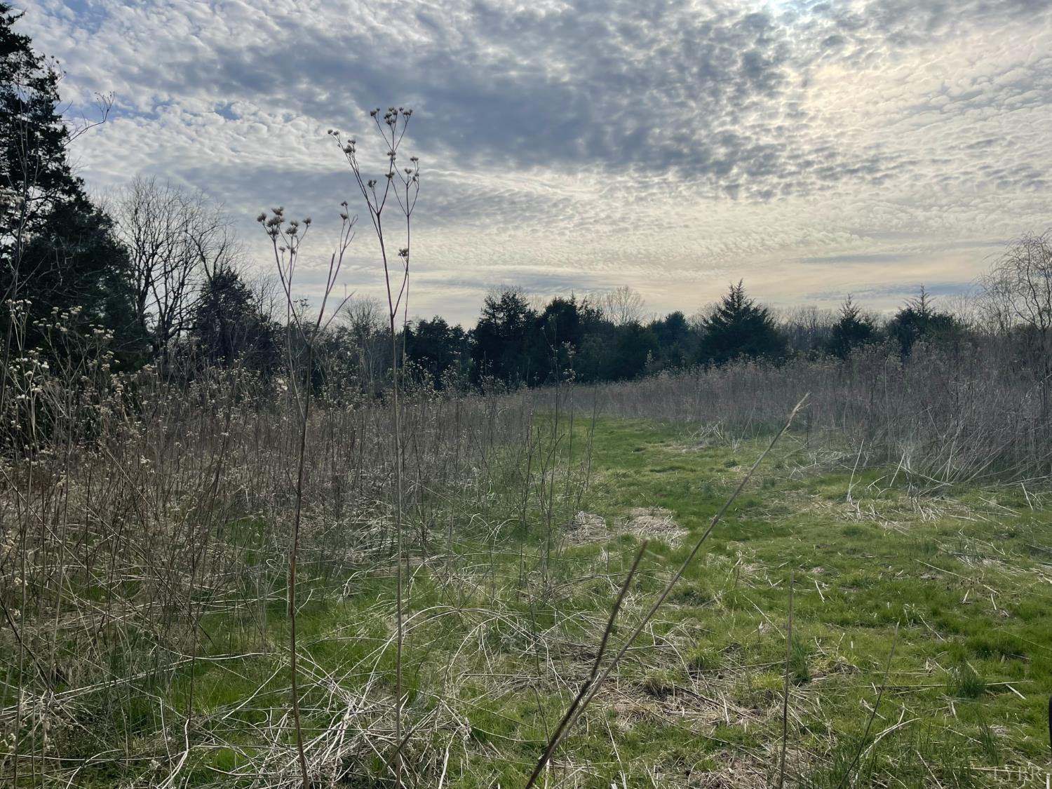 10936 Moneta Road Moneta, VA 24121 - Photo 24 of 25