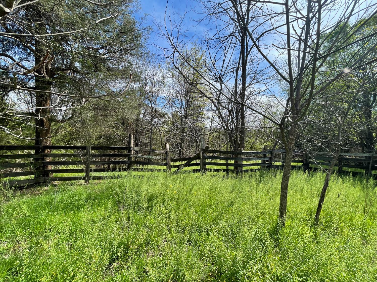 10936 Moneta Road Moneta, VA 24121 - Photo 4 of 25