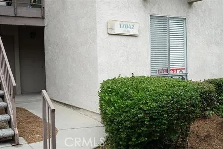 a backyard with plants