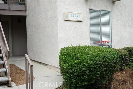 a backyard with plants