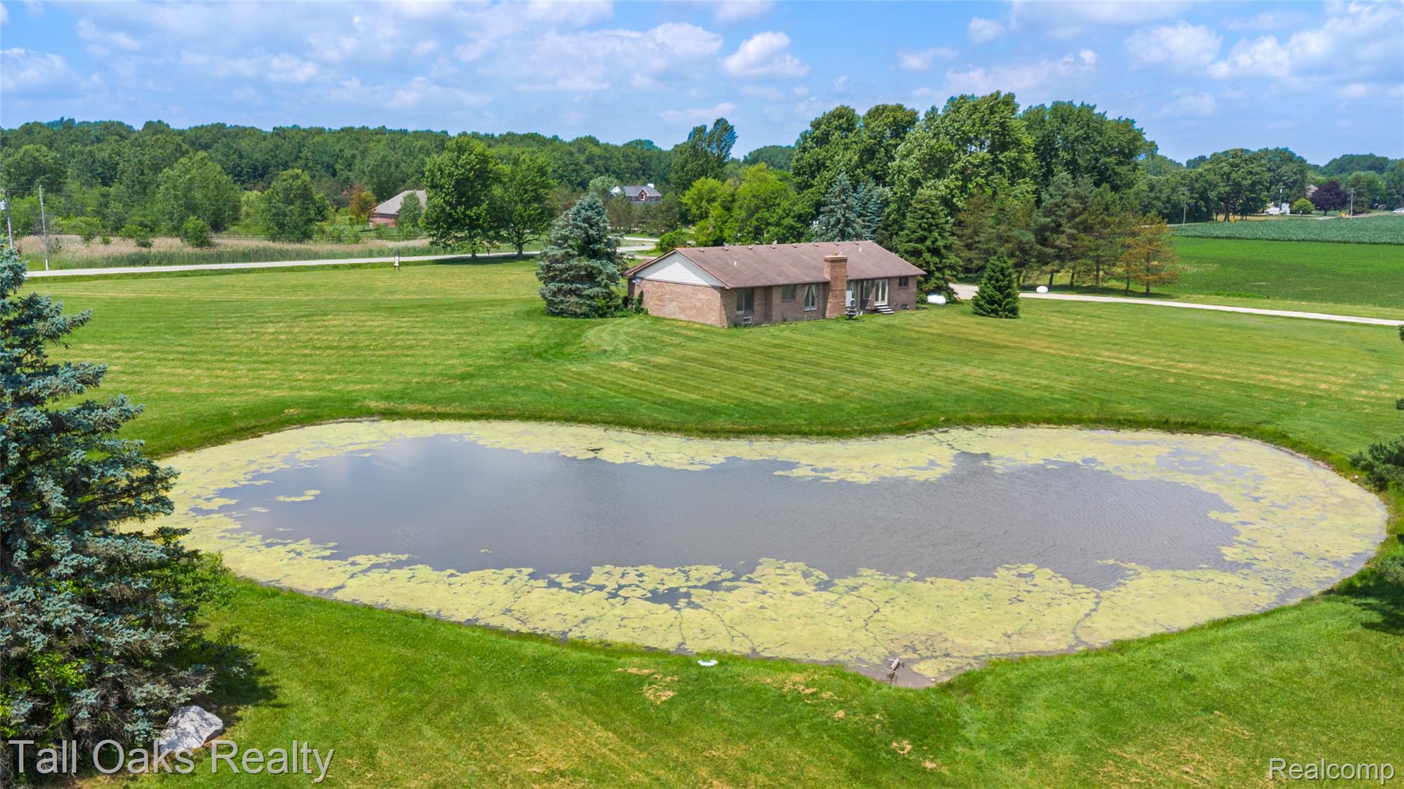 79330 Capac Road Armada, MI 48005 - Photo 8 of 42 Expansive property featuring a private pond surrounded by lush green lawns