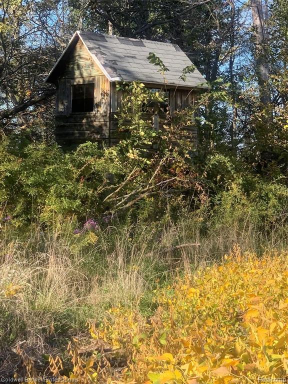 Vl Lake Pleasant Road North Branch, MI 48461 - Photo 4 of 4
