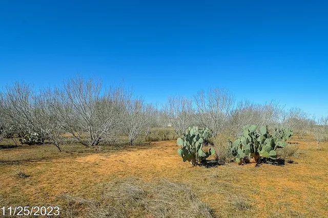 a view of a ocean beach