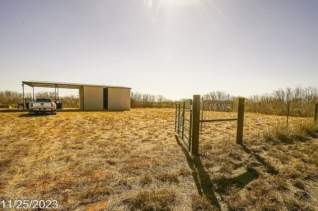 a view of a dry yard with trees