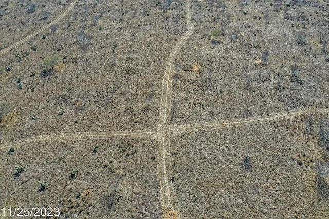 a bathroom with a shower curtain