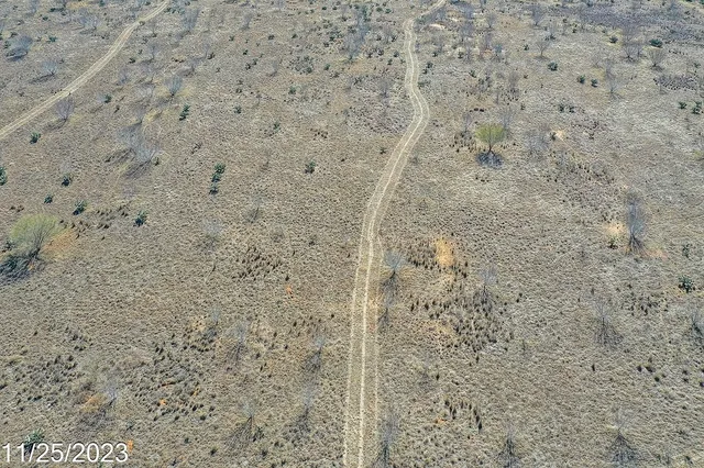 a view of a yard with an empty space