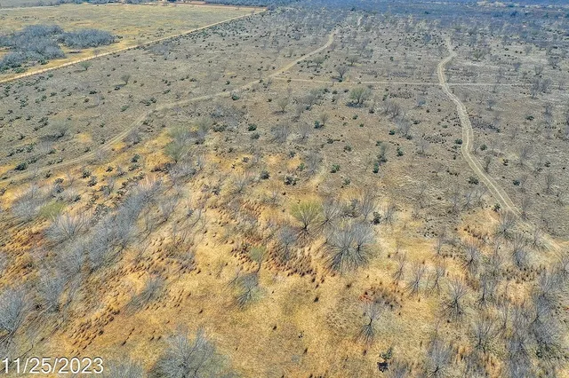 a view of a yard of the house