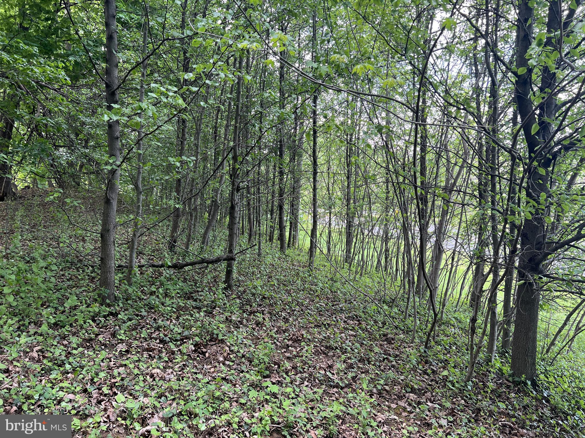 Coppermine Woodsboro, MD 21798 - Photo 27 of 40 Wonderful wooded lot to build your dream home
