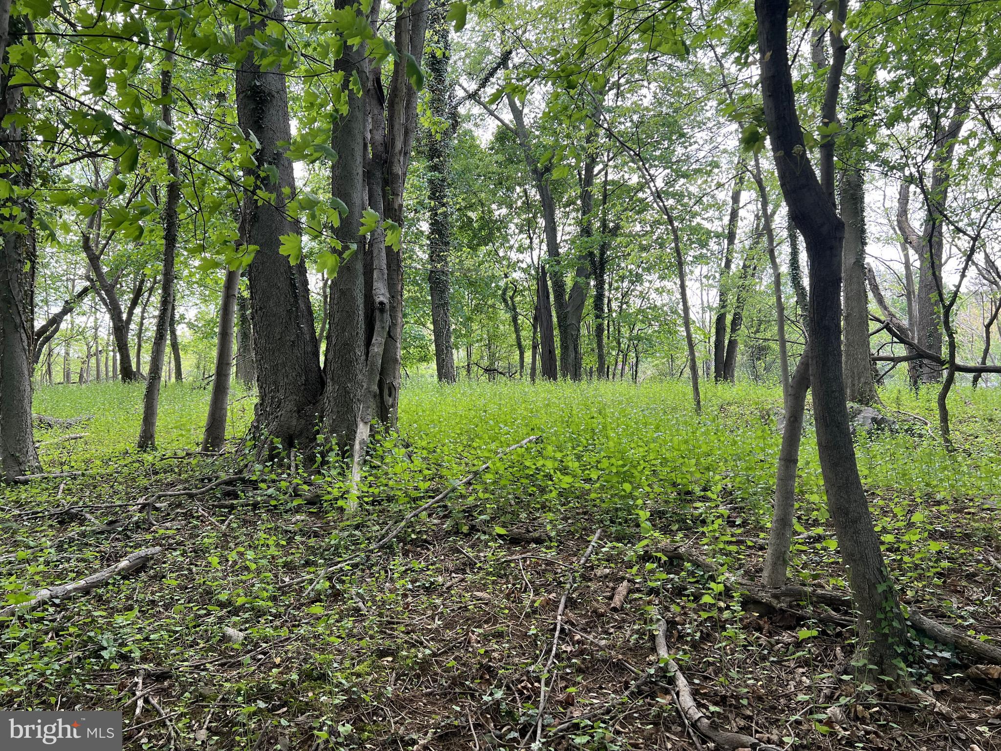 Coppermine Woodsboro, MD 21798 - Photo 28 of 40 Work with builder to find the best building spot