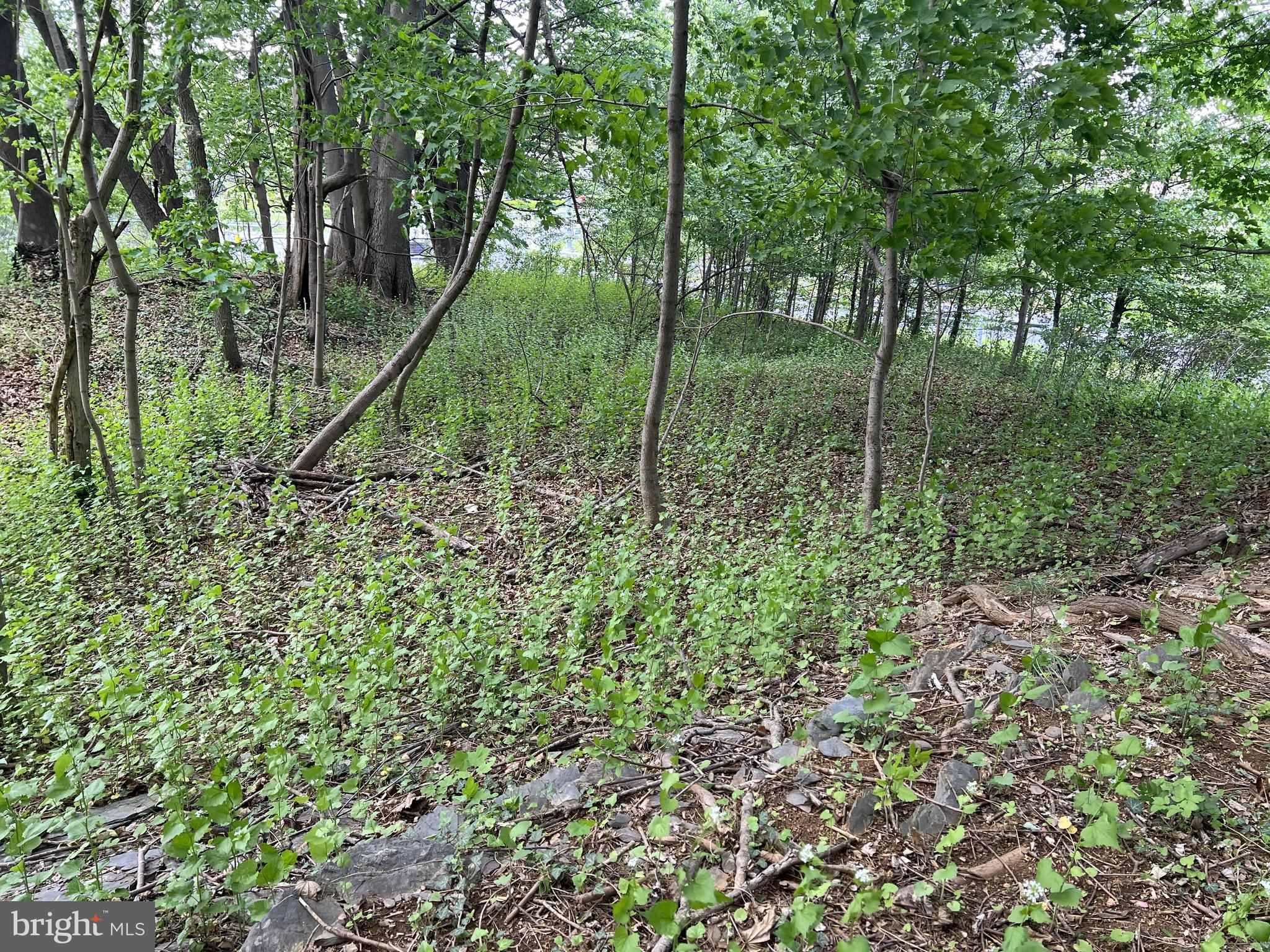 Coppermine Woodsboro, MD 21798 - Photo 29 of 40