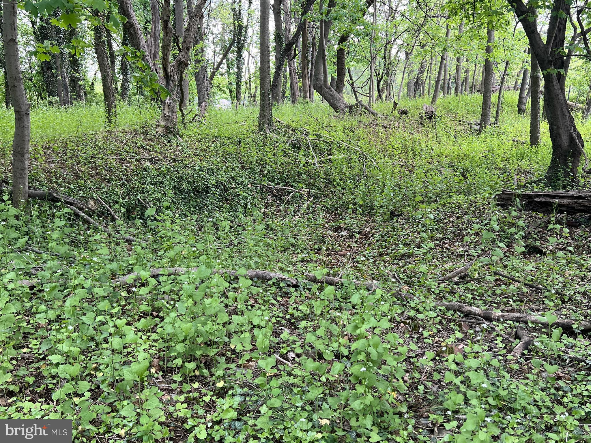 Coppermine Woodsboro, MD 21798 - Photo 30 of 40