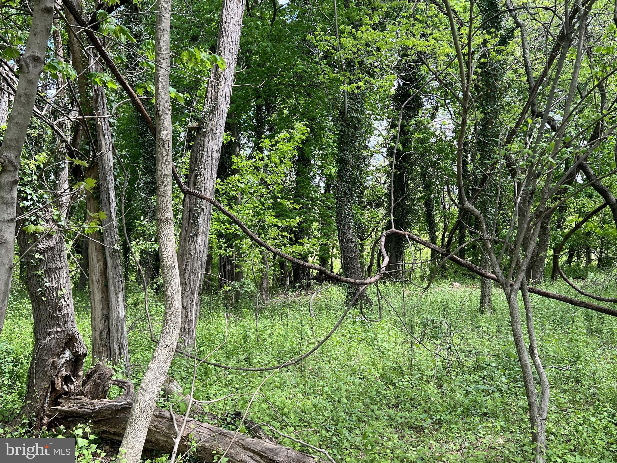 Coppermine Woodsboro, MD 21798 - Photo 31 of 40