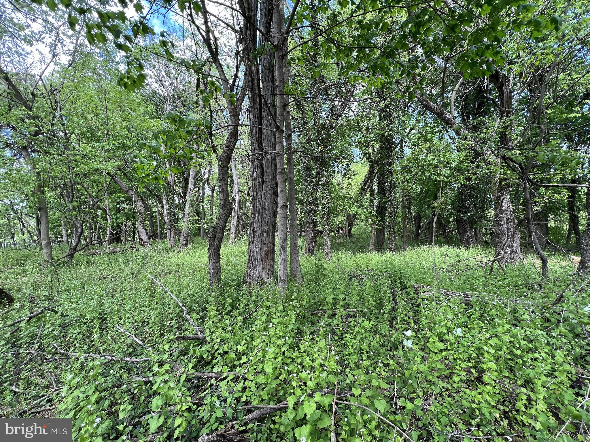 Coppermine Woodsboro, MD 21798 - Photo 32 of 40