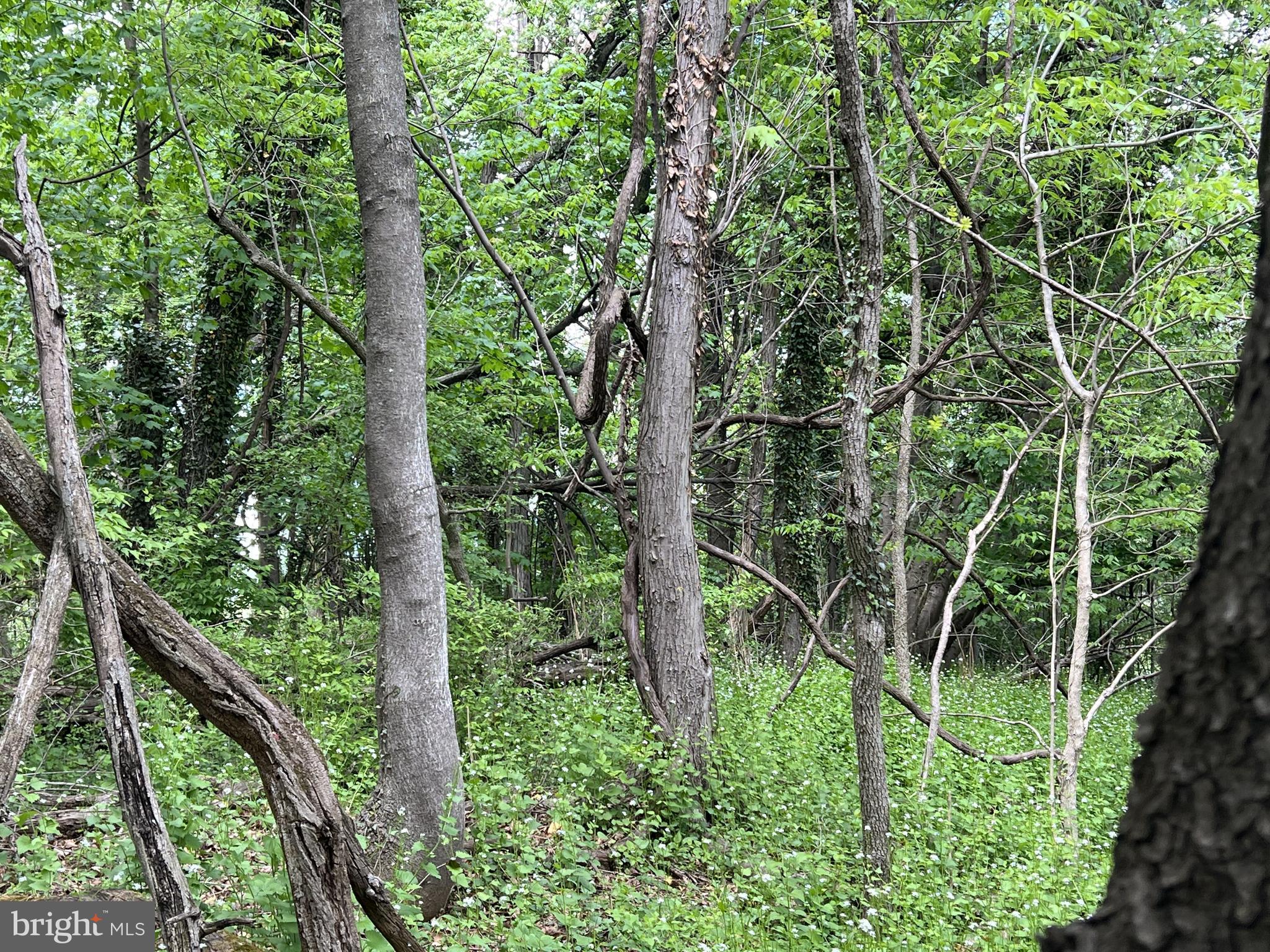 Coppermine Woodsboro, MD 21798 - Photo 33 of 40