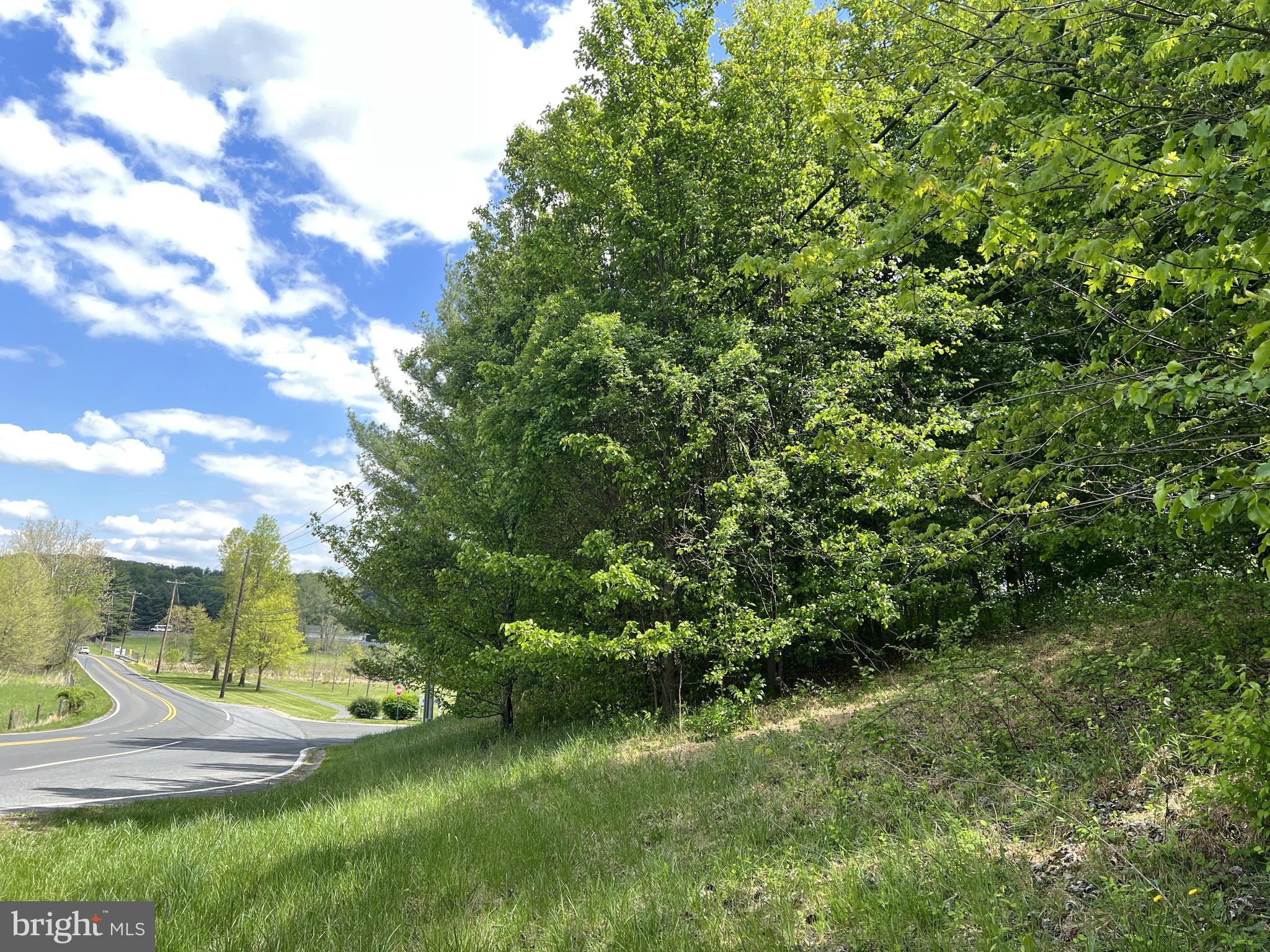 Coppermine Woodsboro, MD 21798 - Photo 35 of 40 Coppermine looking towards Copper Oaks Ct