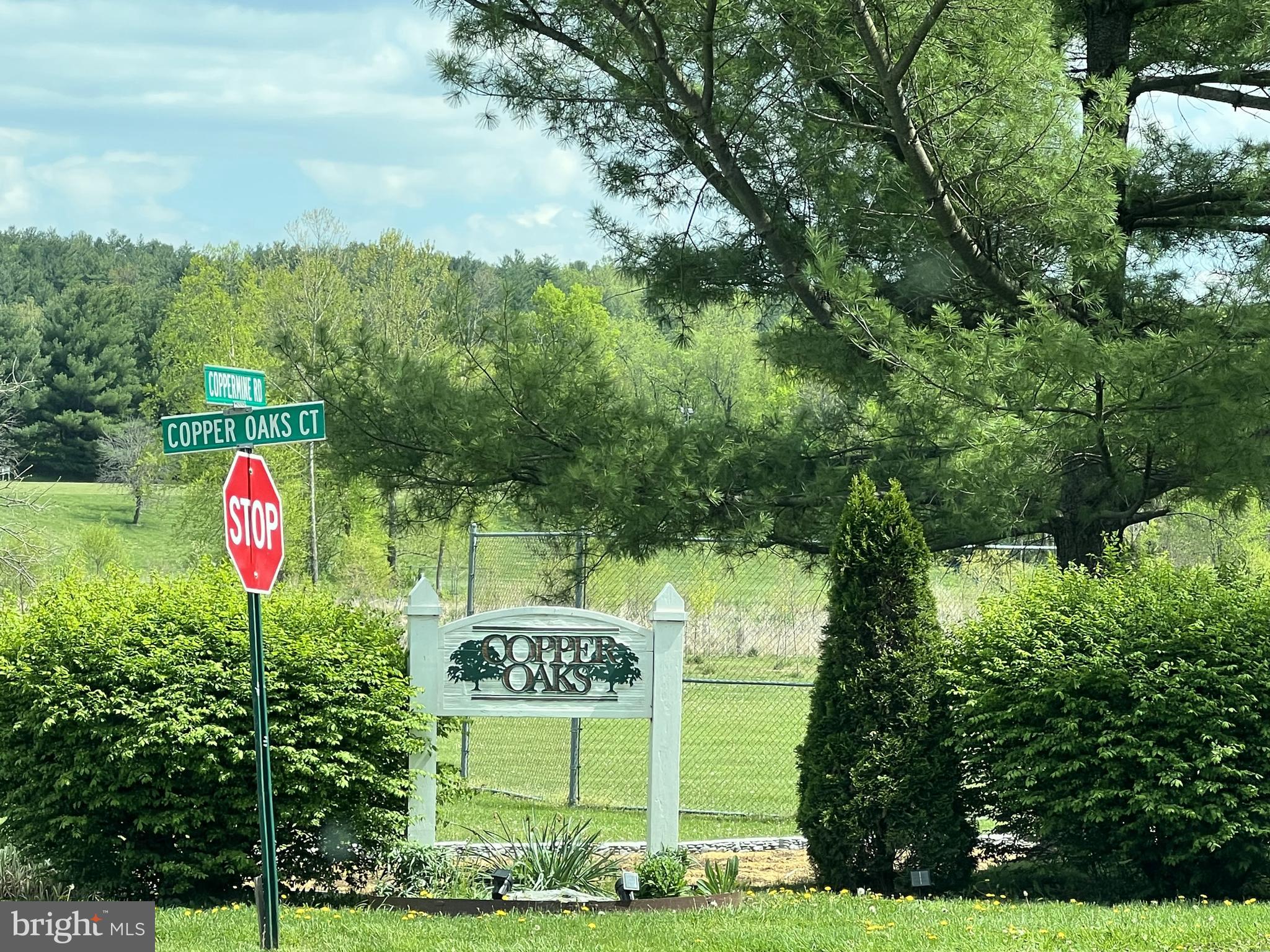 Coppermine Woodsboro, MD 21798 - Photo 36 of 40 Copper Oaks Court