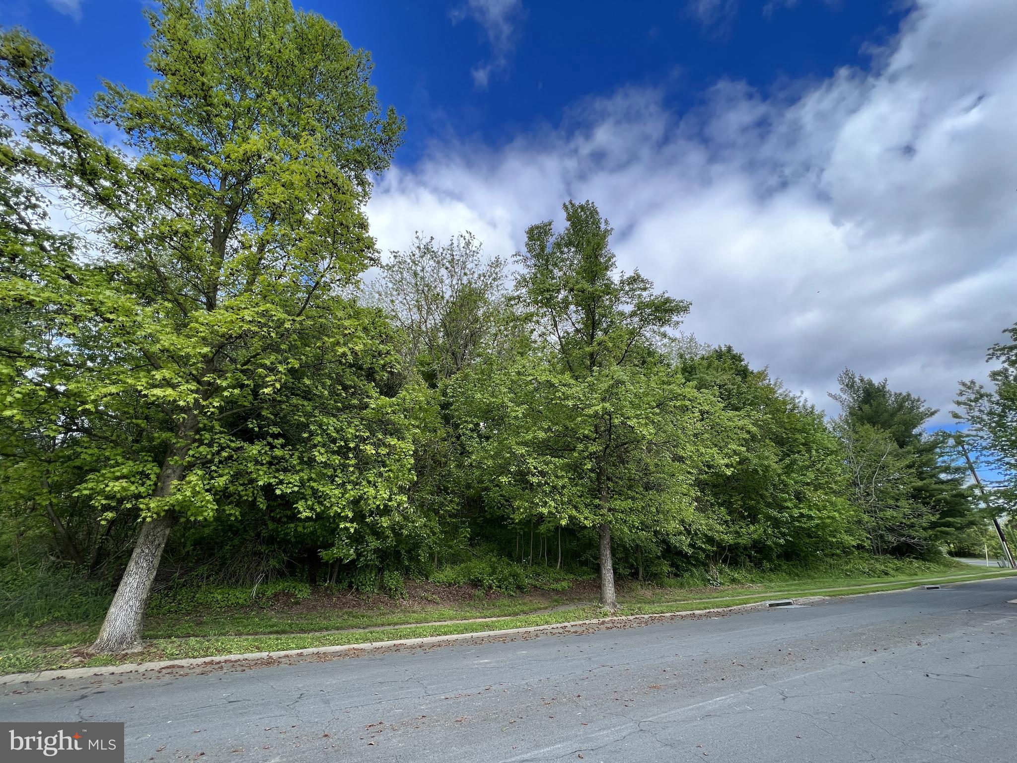 Coppermine Woodsboro, MD 21798 - Photo 38 of 40 View from the park side looking at the lot