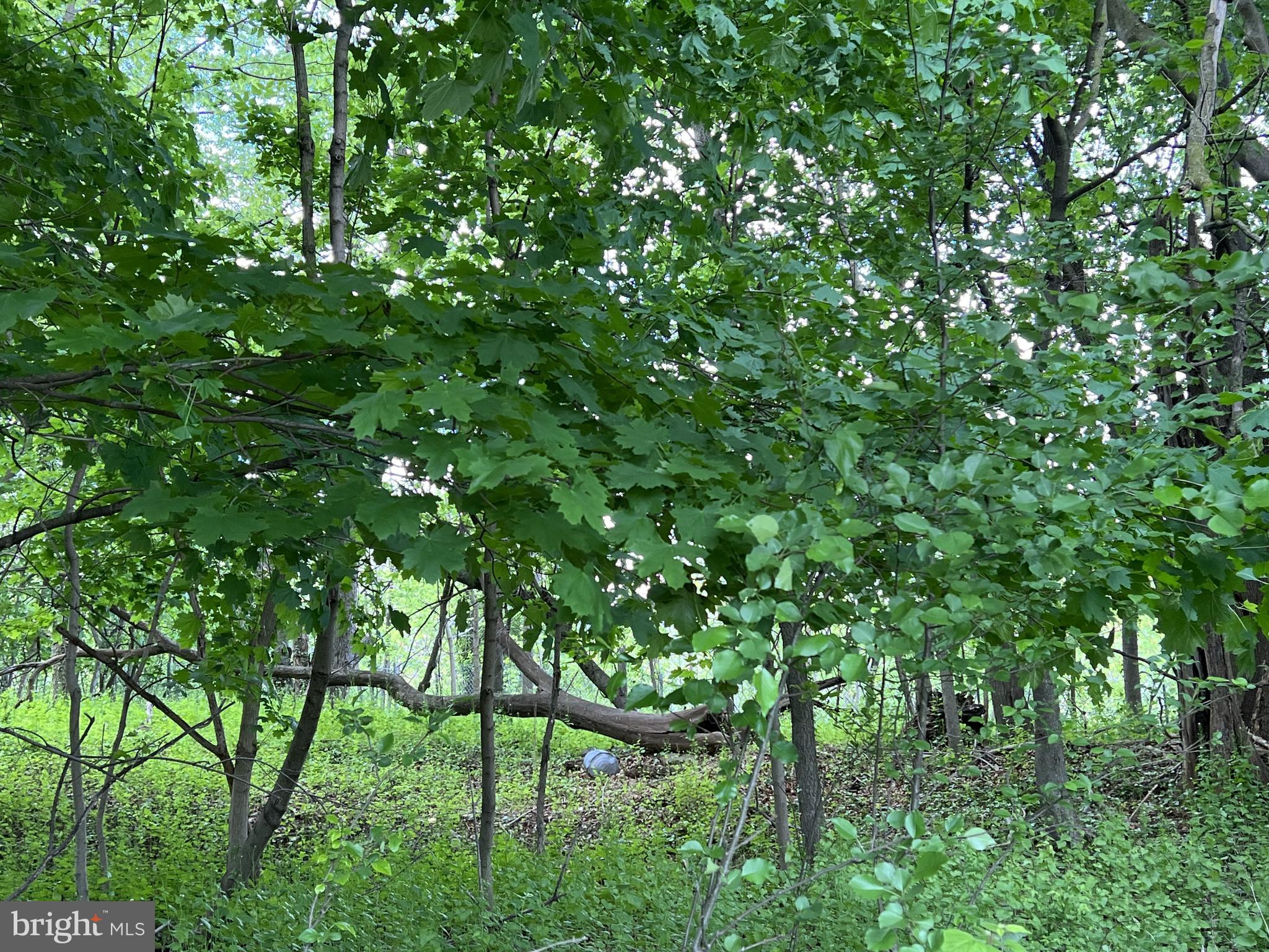 Coppermine Woodsboro, MD 21798 - Photo 40 of 40