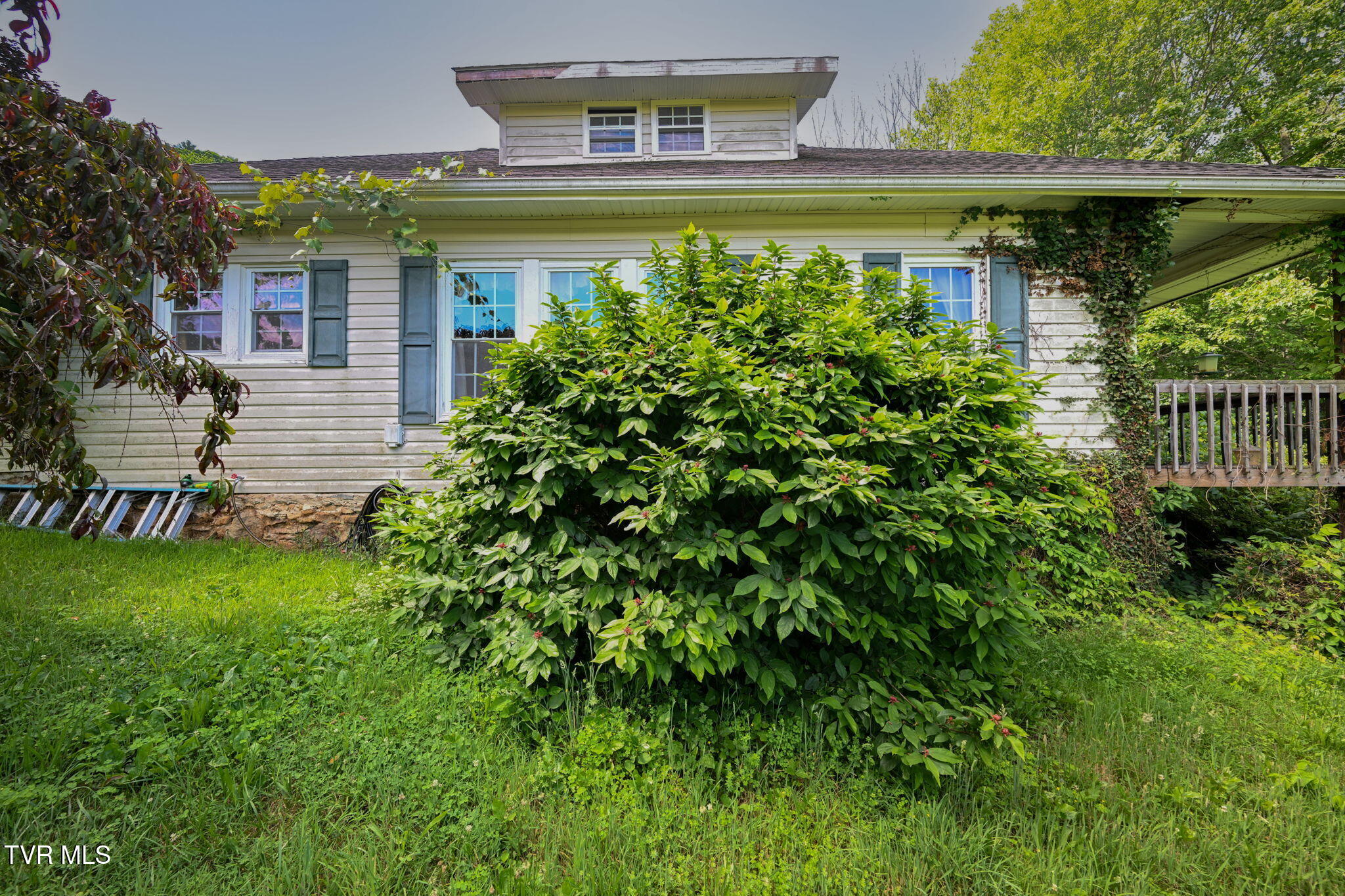 120 Teaberry Road Roan Mountain, TN 37687 - Photo 38 of 56 37-web-or-mls-EXT_3977