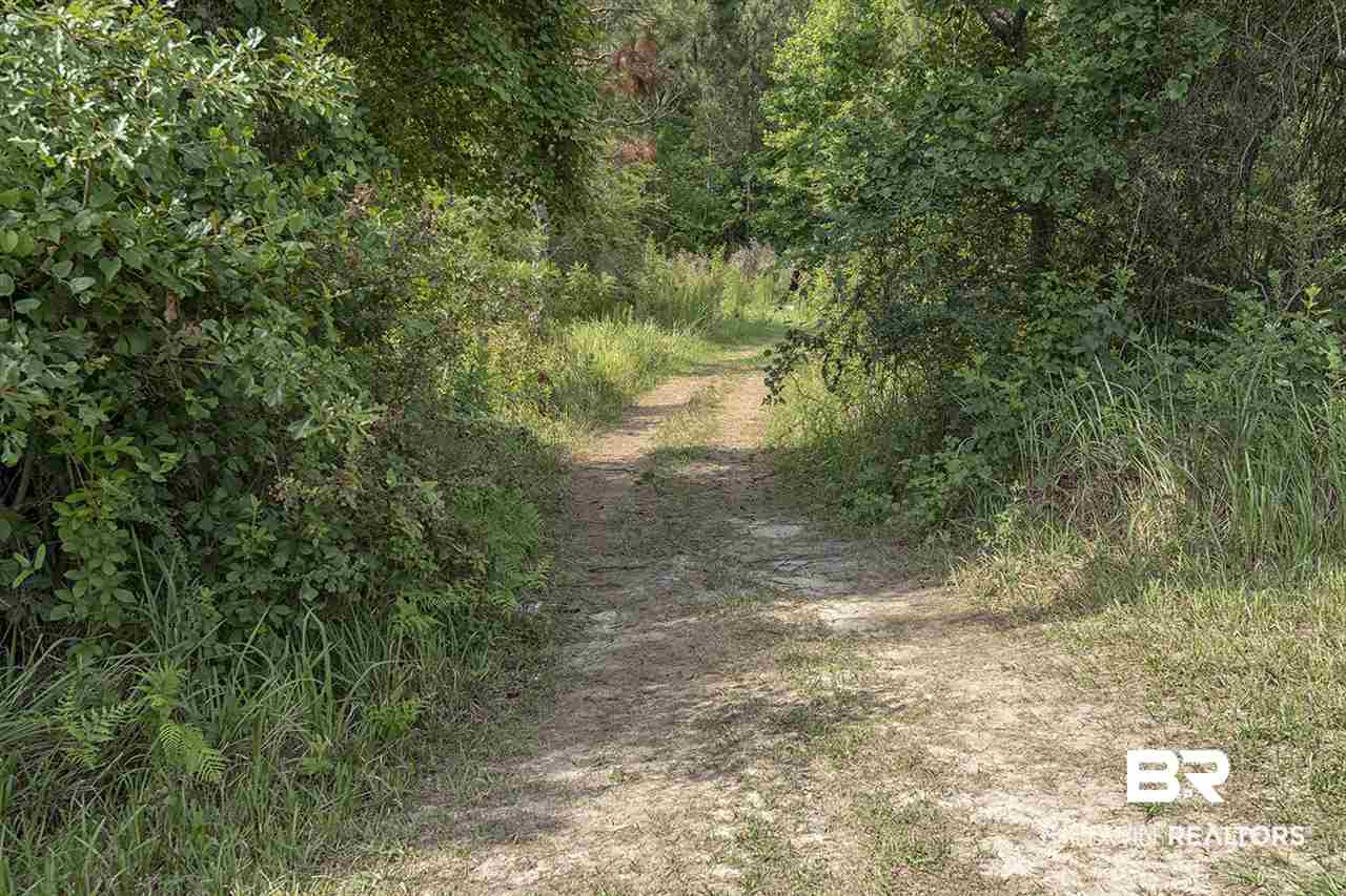 21561 Gullfoss Street Fairhope, AL 36532 - Photo 18 of 20 Hiking/Biking Trails