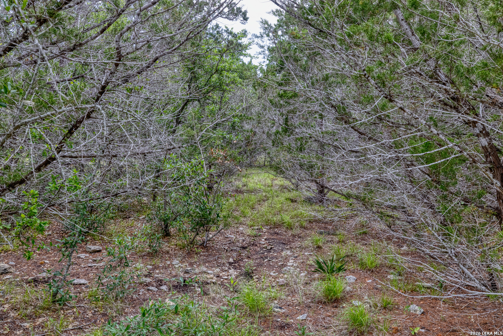 Lot 154 1796th Ranch D'Hanis, TX 78850 - Photo 3 of 18