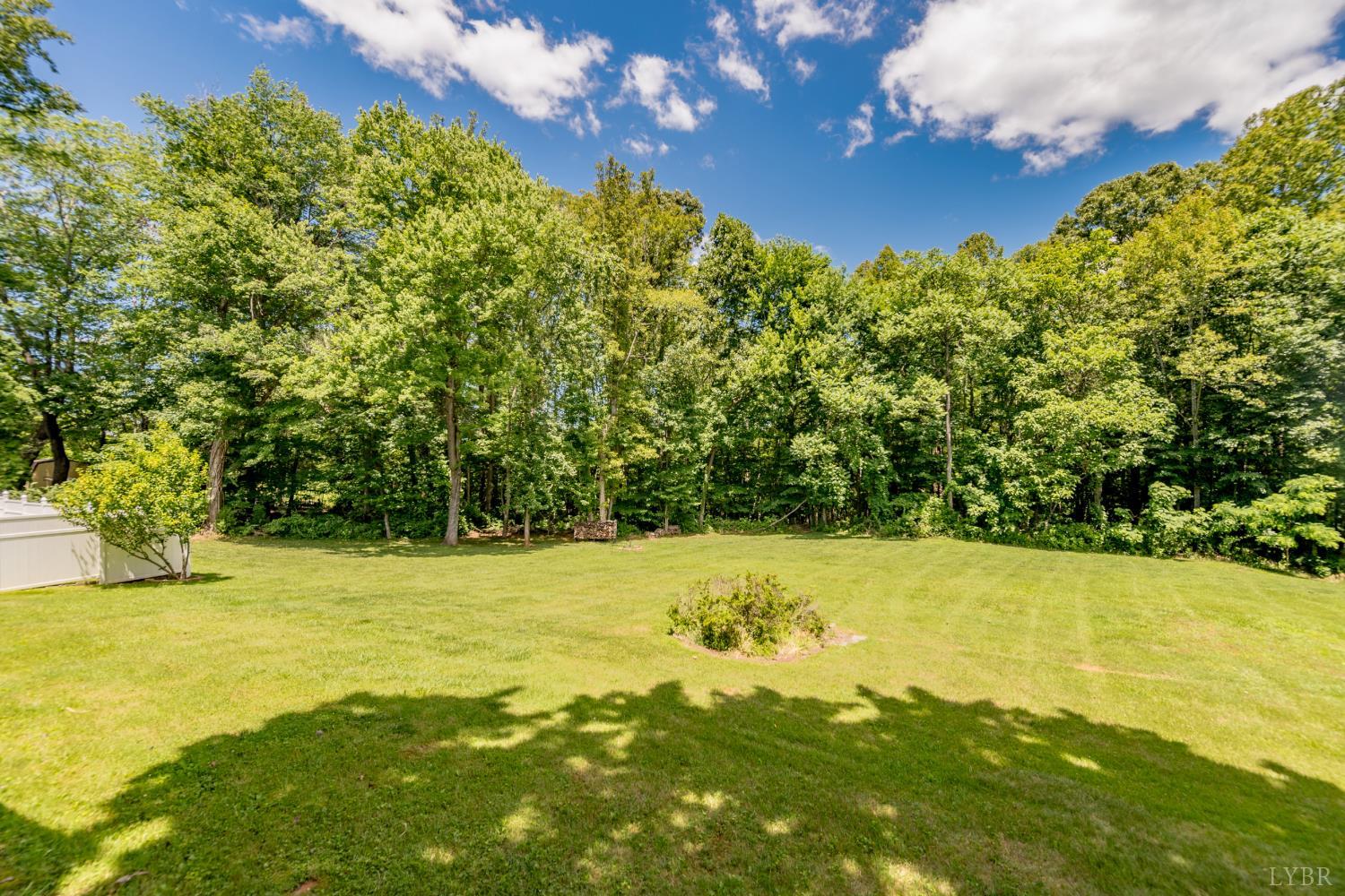 232 Elon Road Madison Heights, VA 24572 - Photo 54 of 65