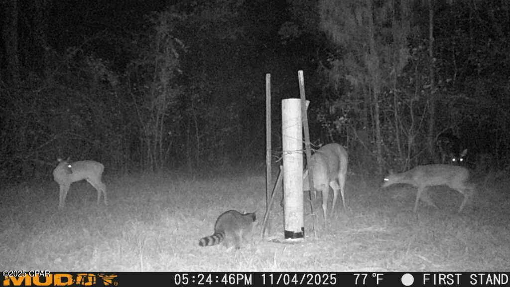 0 Hwy 77 Chipley Chipley, FL 32428 - Photo 20 of 23