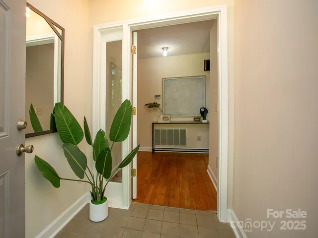 a potted plant sitting in a bathroom next to a window