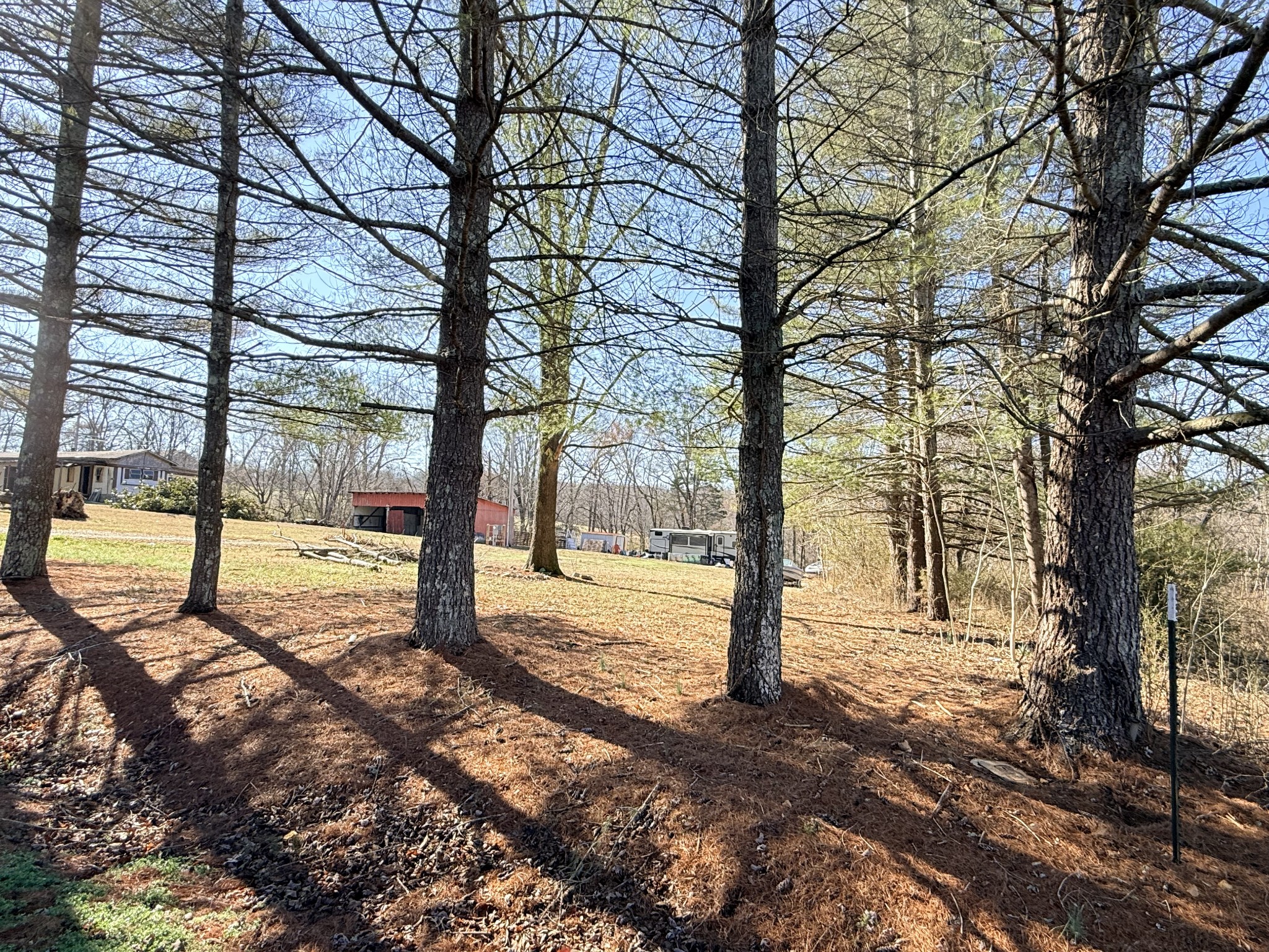 1324 Edmenson Road Clarksville, TN 37040 - Photo 3 of 14 a view of a trees with yard