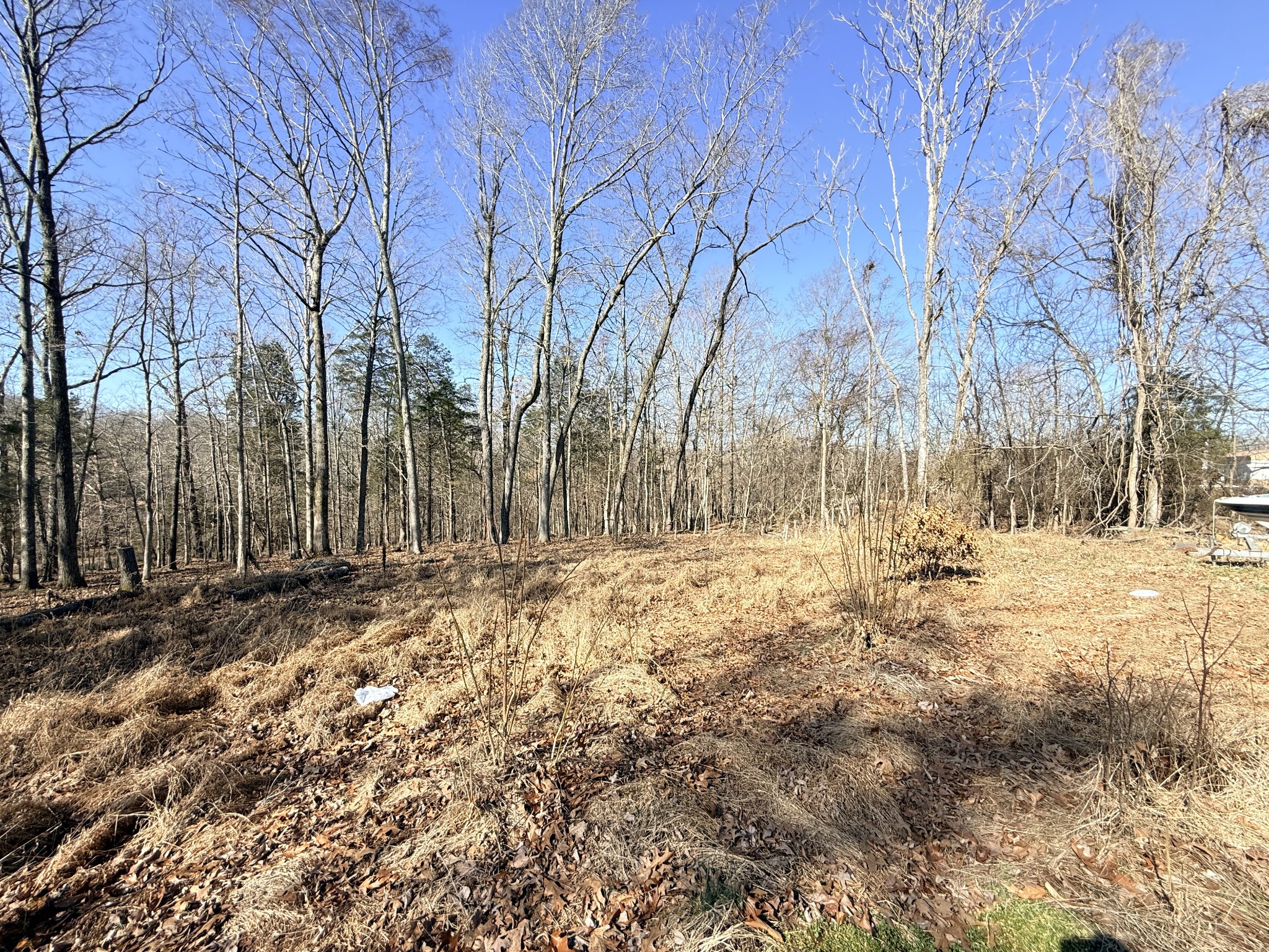 1324 Edmenson Road Clarksville, TN 37040 - Photo 8 of 14 a view of snow on the road