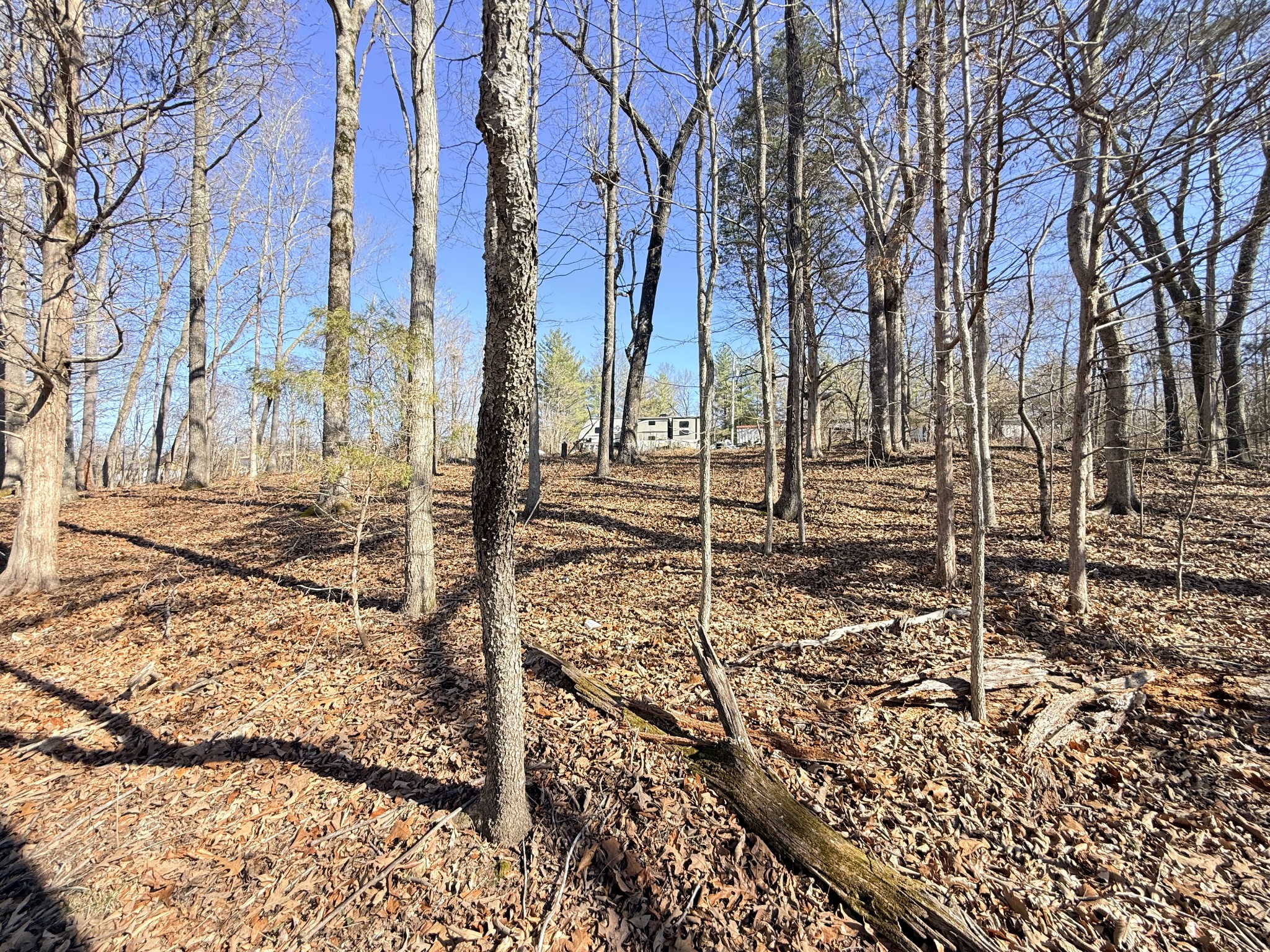 1324 Edmenson Road Clarksville, TN 37040 - Photo 9 of 14 a view of a yard with trees