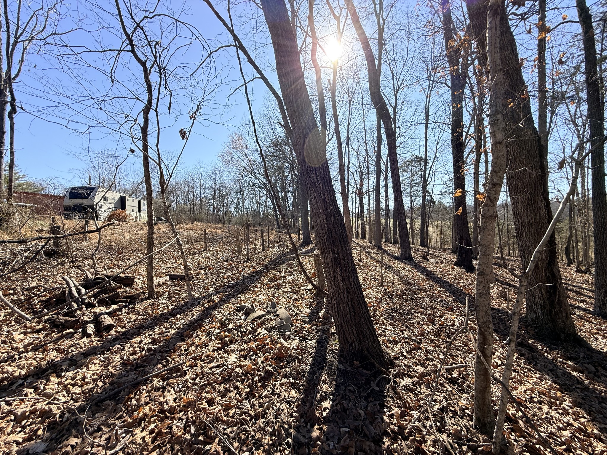 1324 Edmenson Road Clarksville, TN 37040 - Photo 10 of 14 a view of a backyard of the house