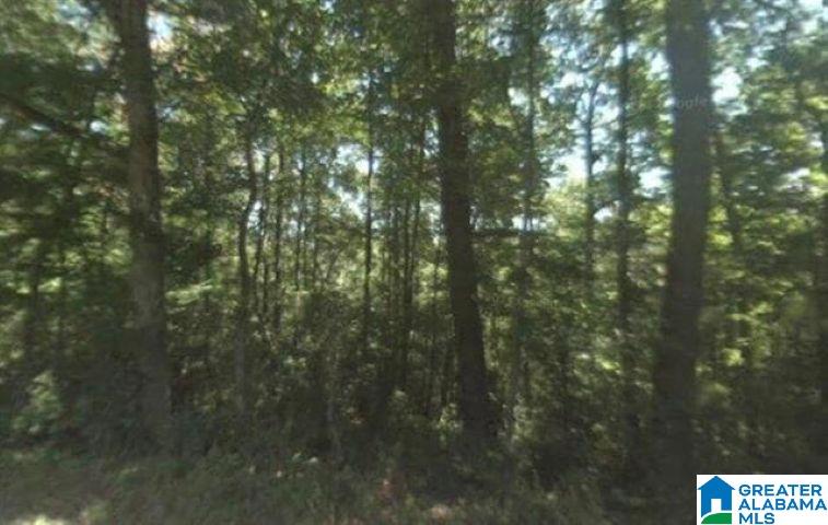 0 Dorning Road Trafford, AL 35172 - Photo 1 of 1