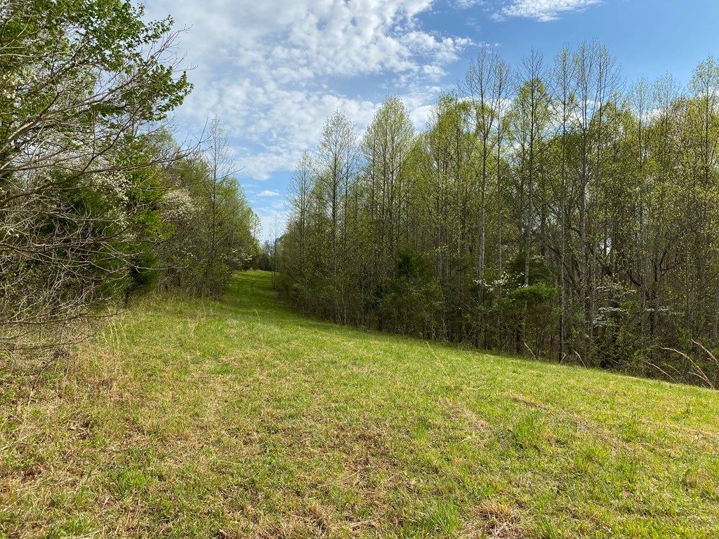 50-ac 50-ac Anderson Road Breeding, KY 42715 - Photo 11 of 24 Gallery Image 11